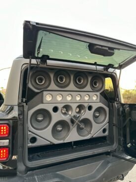 BRONCO RAPTOR